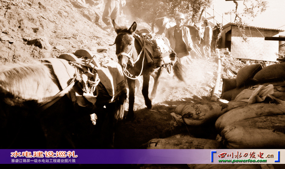 ���ͼƬ�鿴��ҳ