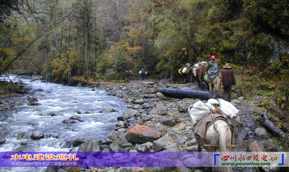 ���ͼƬ�鿴��ҳ