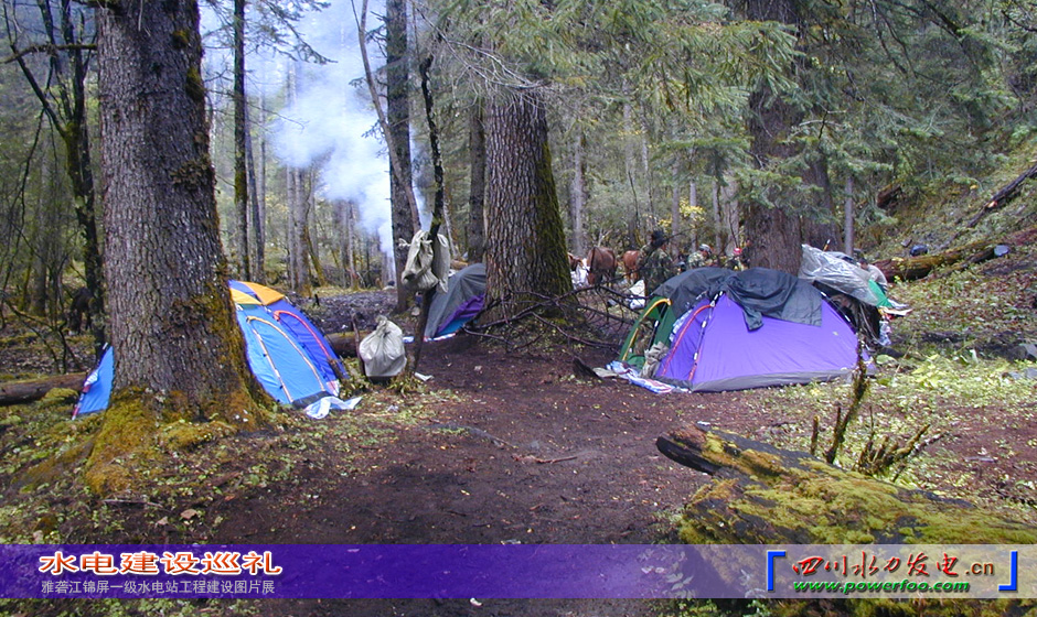 ���ͼƬ�鿴��ҳ