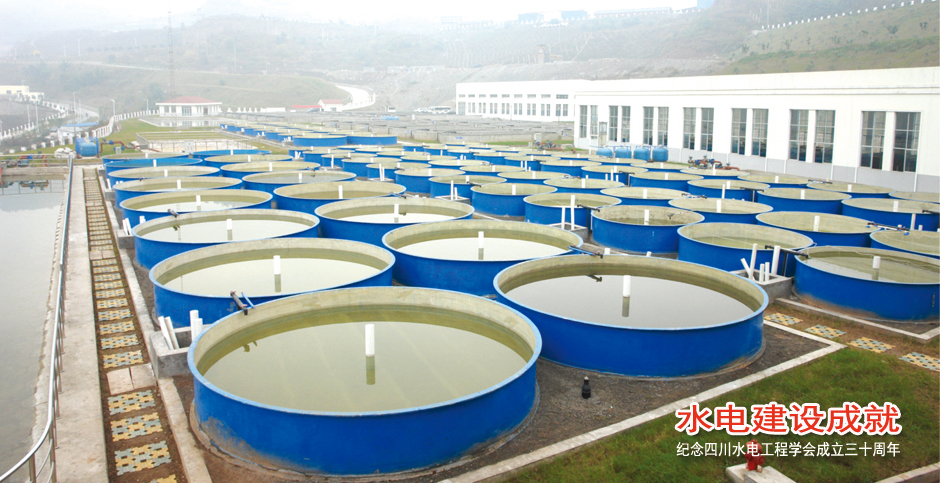 ���ͼƬ�鿴��ҳ