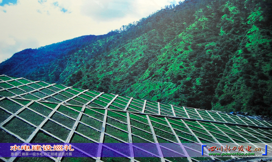 ���ͼƬ�鿴��ҳ