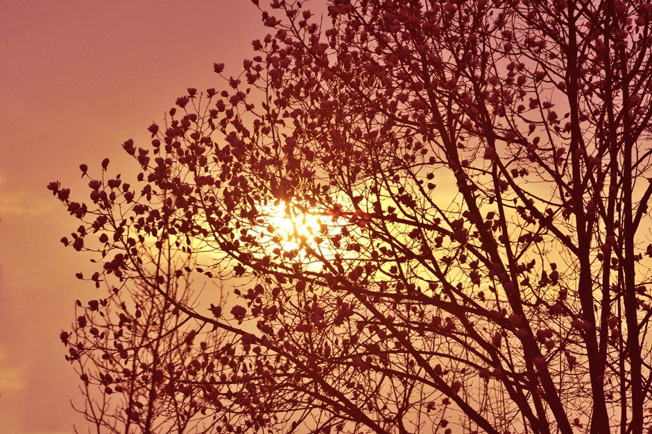 ���ͼƬ�鿴��ҳ