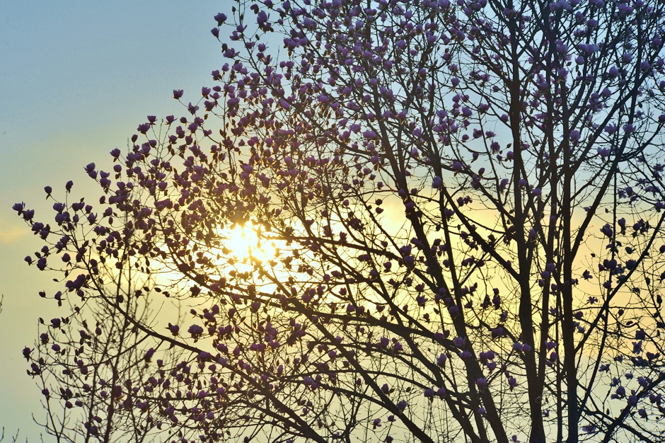 ���ͼƬ�鿴��ҳ