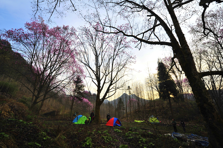 ���ͼƬ�鿴��ҳ