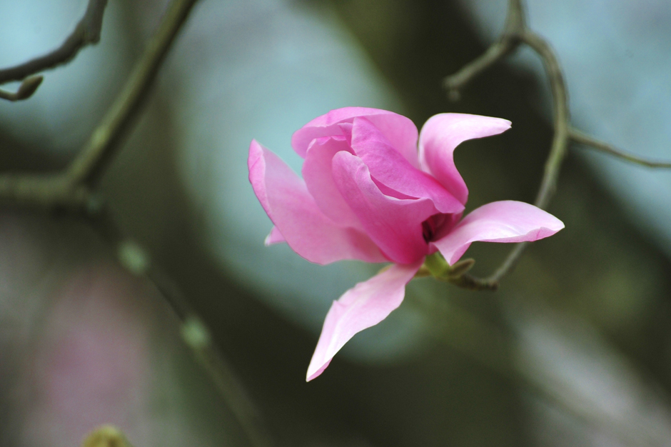 ���ͼƬ�鿴��ҳ