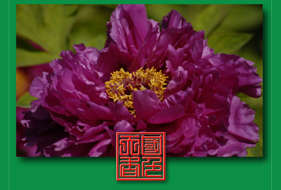 ���ͼƬ�鿴��ҳ