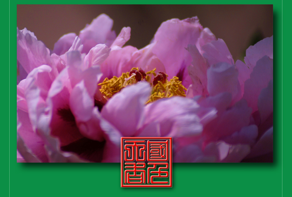 ���ͼƬ�鿴��ҳ