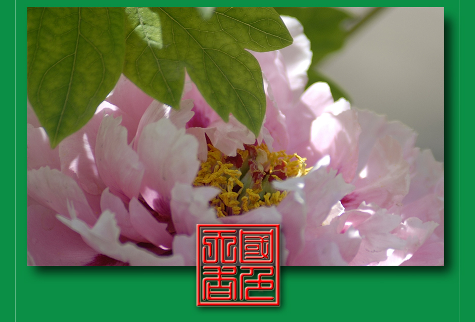 ���ͼƬ�鿴��ҳ