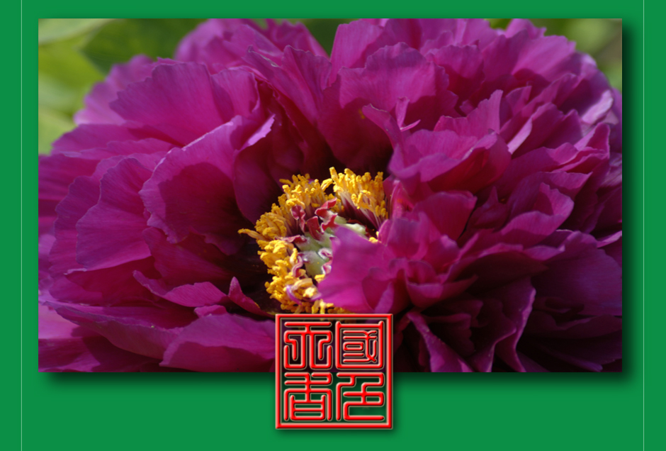 ���ͼƬ�鿴��ҳ