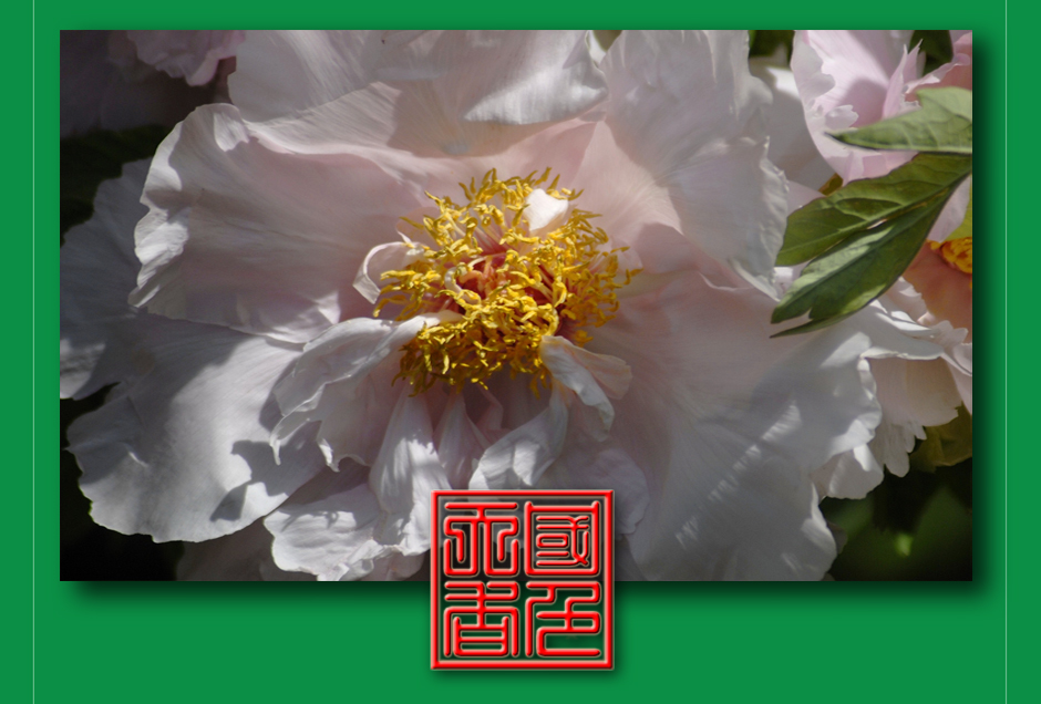 ���ͼƬ�鿴��ҳ