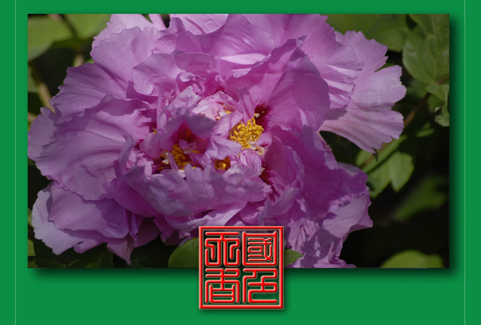 ���ͼƬ�鿴��ҳ