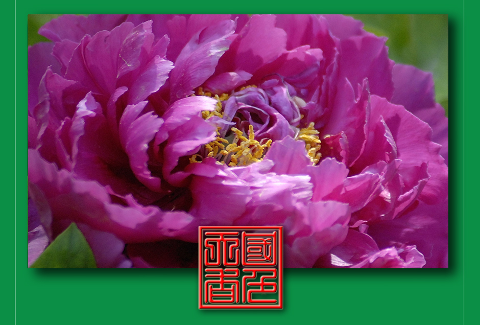 ���ͼƬ�鿴��ҳ