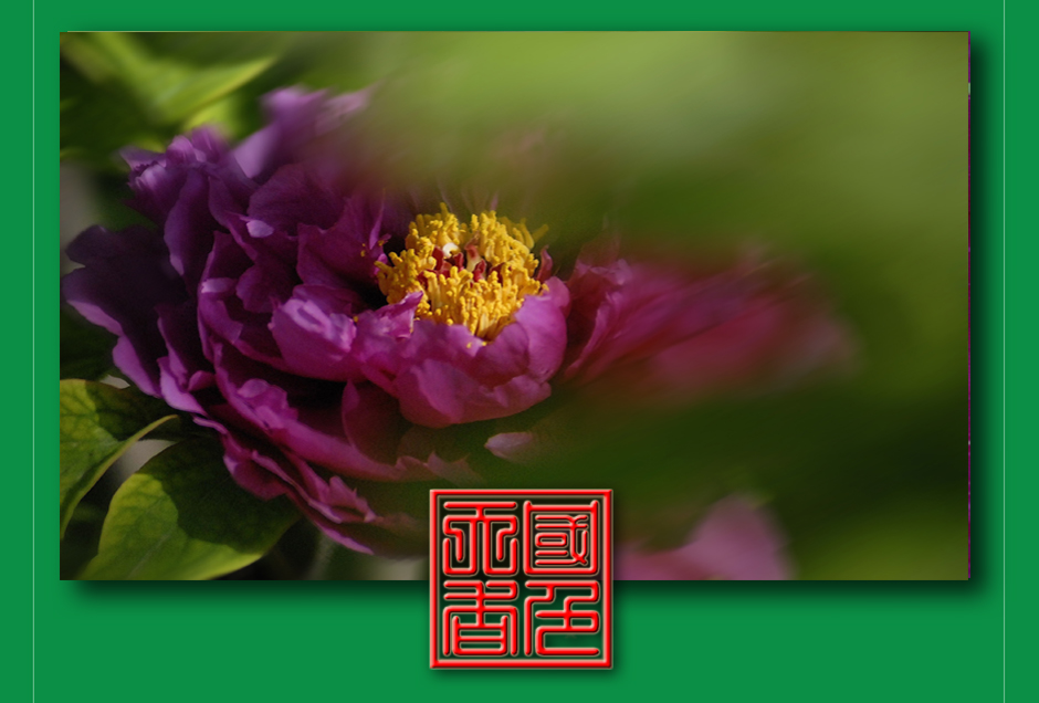 ���ͼƬ�鿴��ҳ