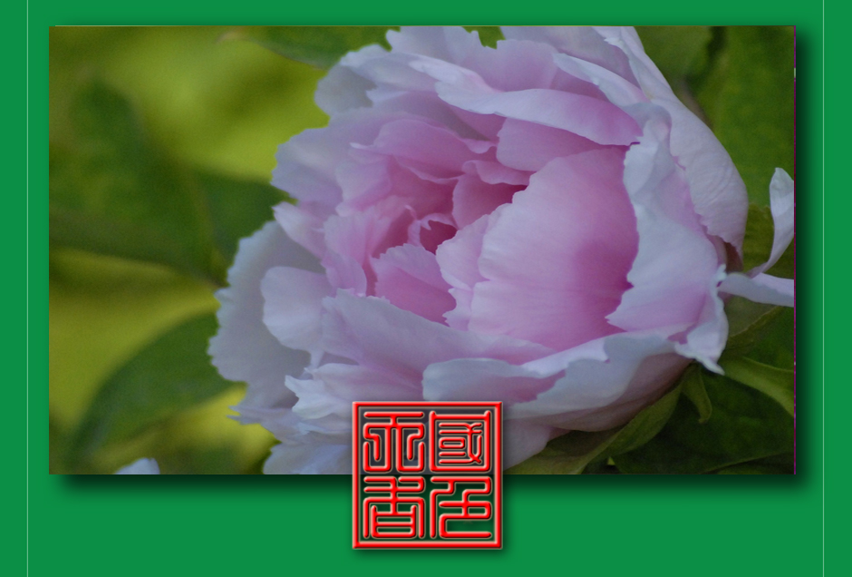 ���ͼƬ�鿴��ҳ