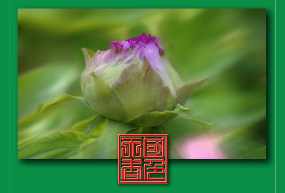 ���ͼƬ�鿴��ҳ