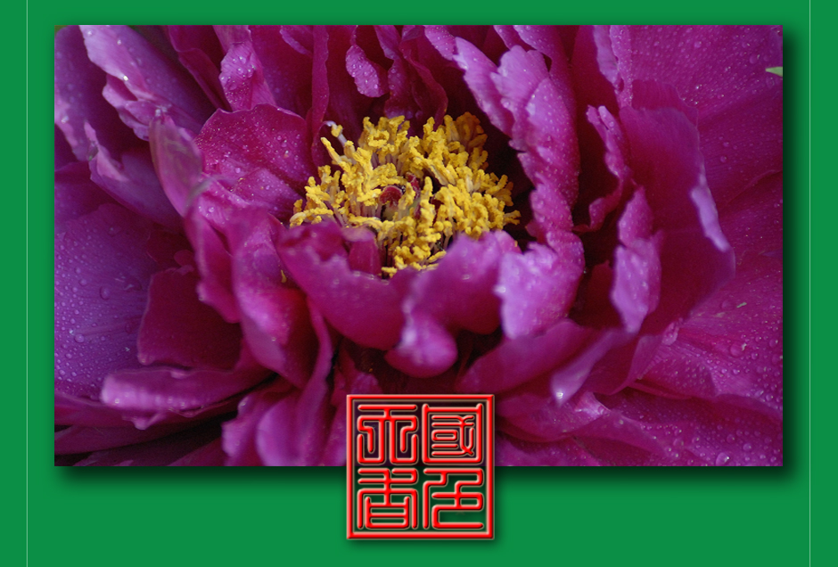 ���ͼƬ�鿴��ҳ