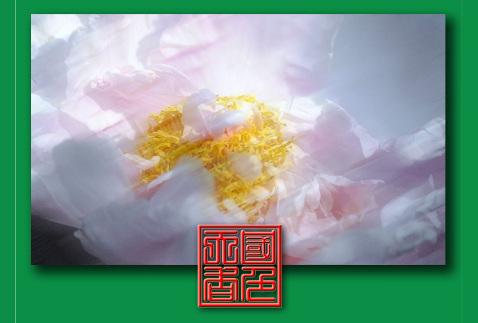 ���ͼƬ�鿴��ҳ