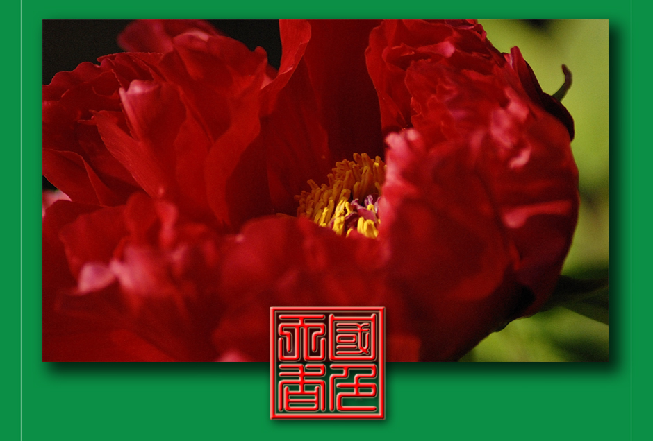 ���ͼƬ�鿴��ҳ