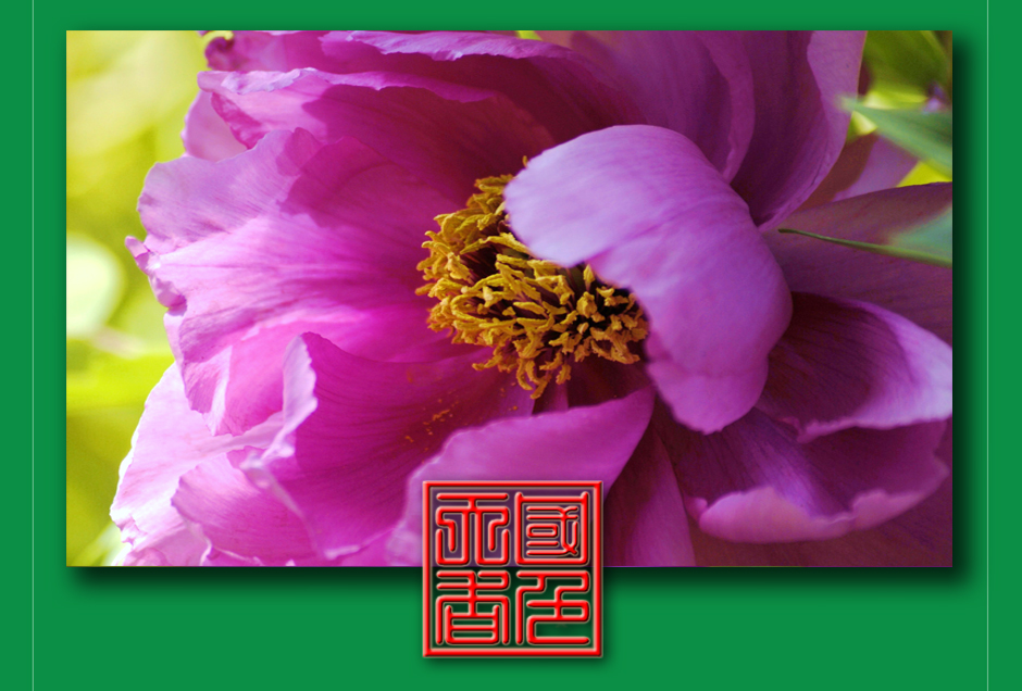 ���ͼƬ�鿴��ҳ