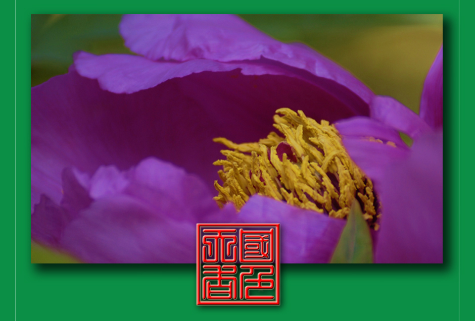 ���ͼƬ�鿴��ҳ