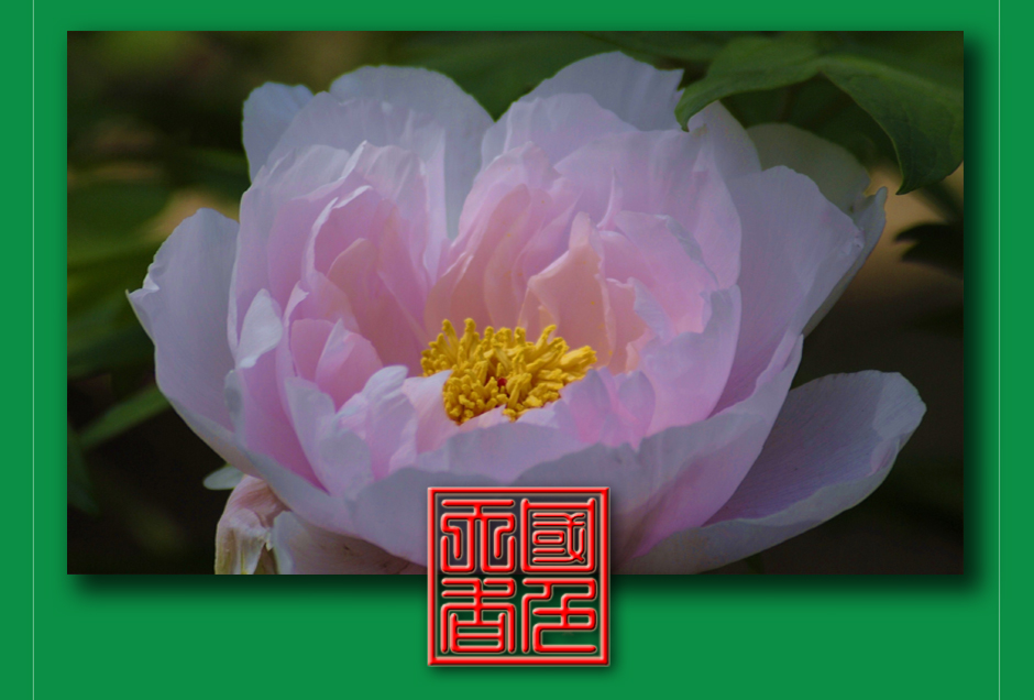 ���ͼƬ�鿴��ҳ