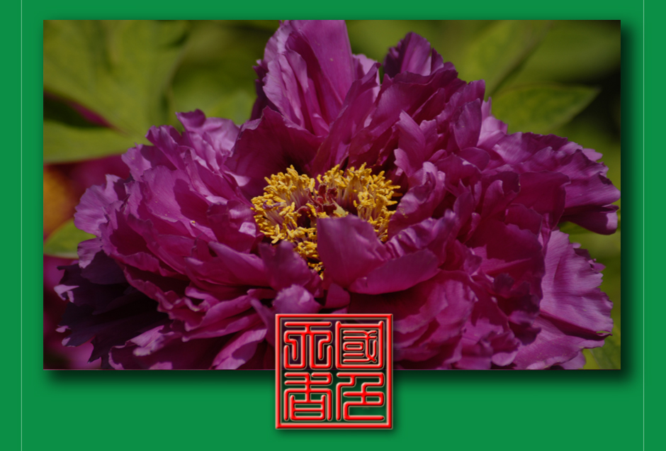 ���ͼƬ�鿴��ҳ