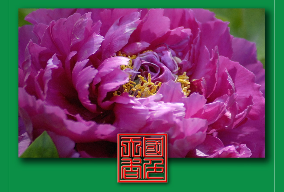 ���ͼƬ�鿴��ҳ