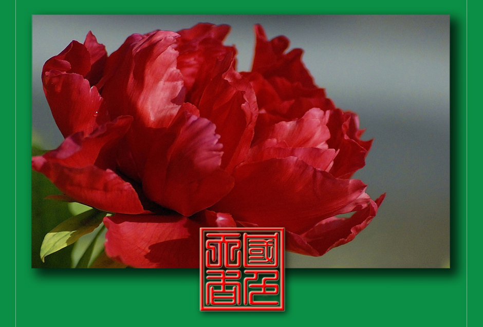 ���ͼƬ�鿴��ҳ