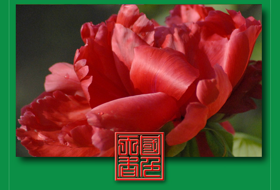 ���ͼƬ�鿴��ҳ